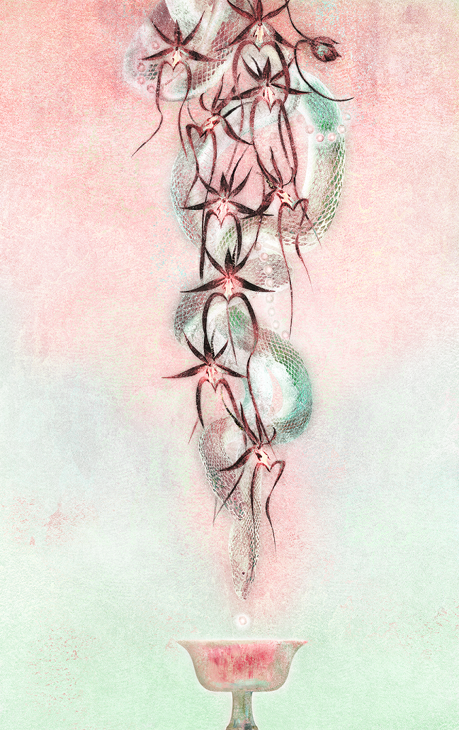 《鬼兰》.png