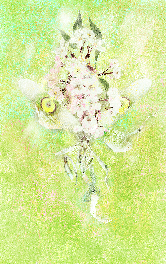 《樱》.png